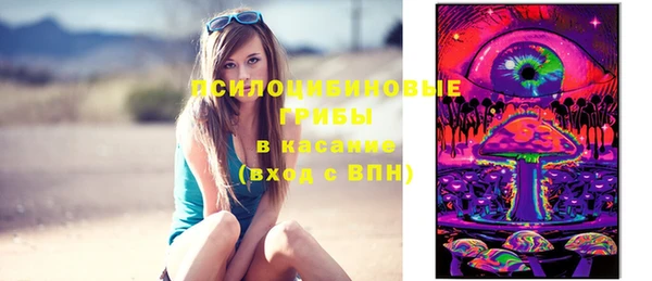 ешки Алзамай