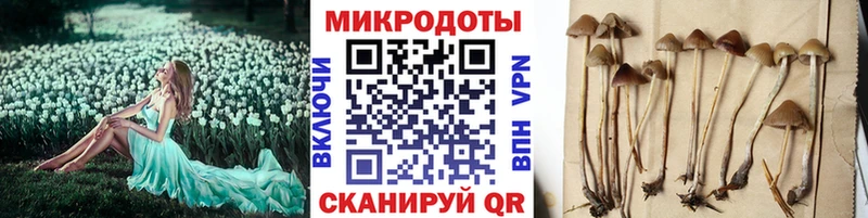 дарнет шоп  hydra   Галлюциногенные грибы Magic Shrooms  Строитель 